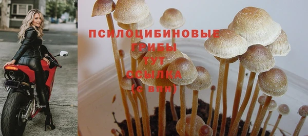 прущий лед Армянск