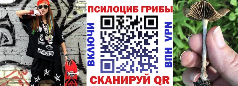 Псилоцибиновые грибы мицелий  Опочка 